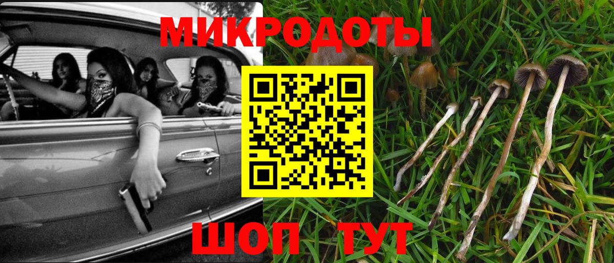 Сокол  Псилоцибиновые грибы Psilocybe  Вход с VPN 